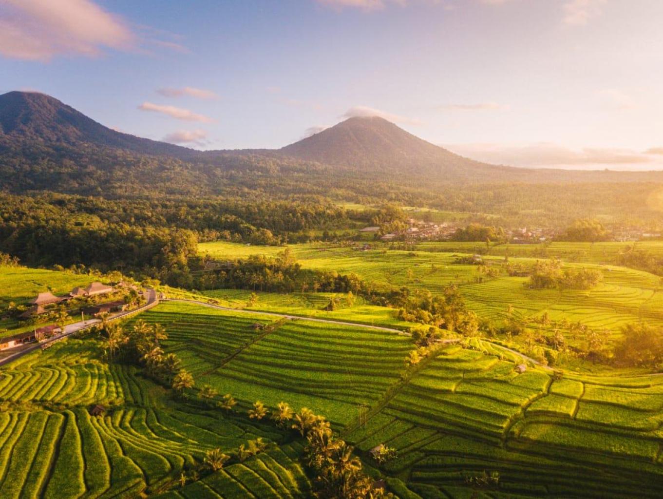 Alam Desa Cipinang yang Asri
