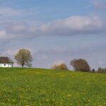 Kolaborasi Antara Pemerintah dan Teknologi untuk Desa Cipinang